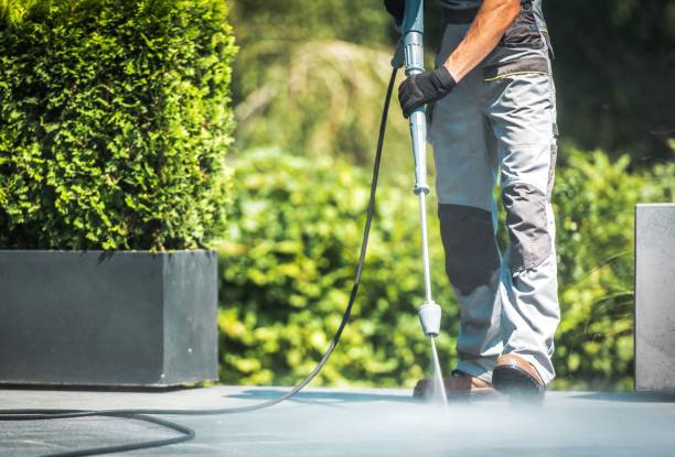 Best Sidewalk and Walkway Cleaning  in Stephenville, TX