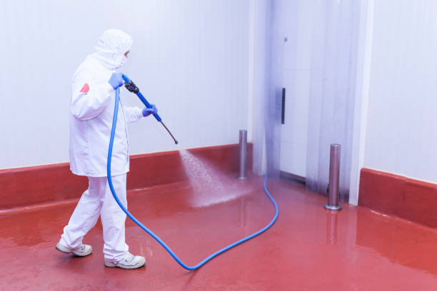Best Paint Preparation  in Stephenville, TX